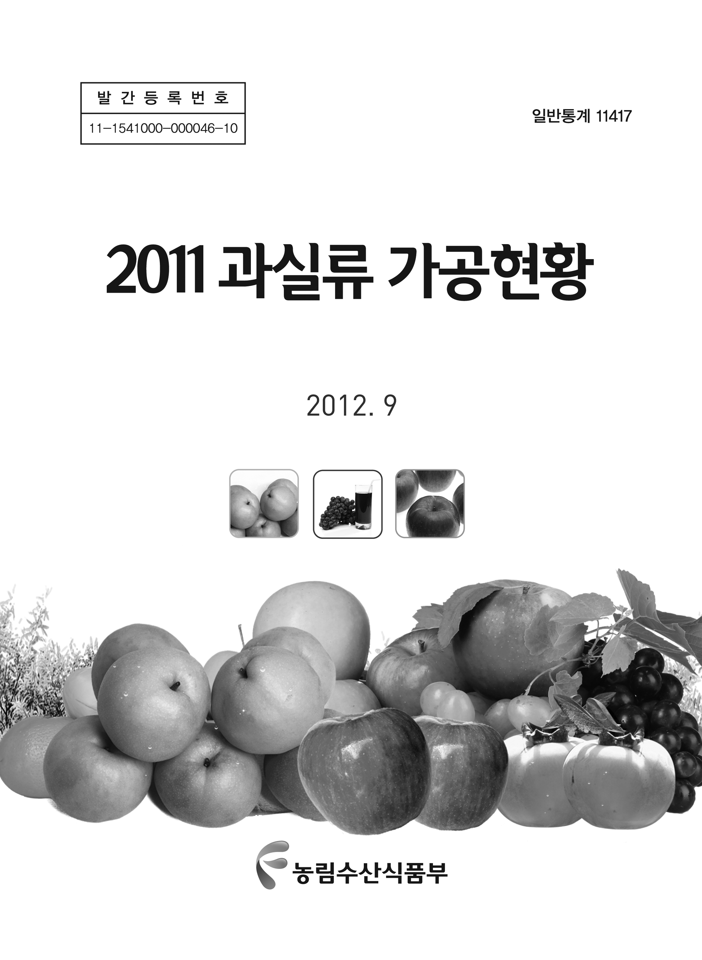 과실류 가공현황 / 농림수산식품부 원예경영과 [편]. 2011